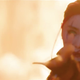 Image for article titled All the Most X-ceptional Things We Saw in the New X-Men Trailer!
